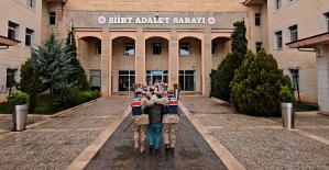 Siirt’te Bir Araçta Binlerce Mühimmat Ele Geçirildi! 5 Şüpheli Şahıs Tutuklandı