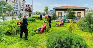 Park ve Bahçeler Müdürlüğü Temizlik ve Bakım Çalışması Başlattı