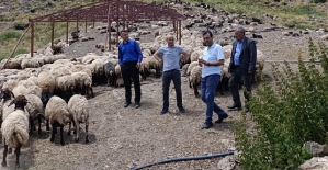 Siirt’in Şirvan İlçesi Kesmetaş Köyünde Mera Islah Projesi Uygulanıyor