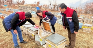 Pervari’de Kırsal Kalkınma Destekli Arıcılara Denetim Yapıldı