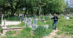 Siirt’te Mezarlıklarda İlaçlama Çalışmaları Başladı