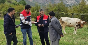 Siirt’te Çilek Denemesi: Alternatif Gelir Kaynağı Yolda