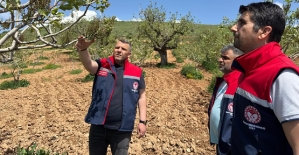 Siirt’te Olumsuz Hava Koşulları Sonrası Tarım Arazilerinde İnceleme