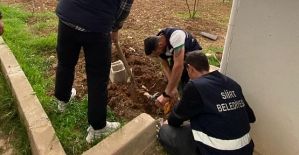 Siirt Belediyesi Harekete Geçti: 223 Kaçak Su Hattı Kapatıldı!