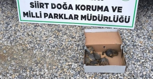 Siirt’te Kaçak Avcılığa Rekor Ceza!