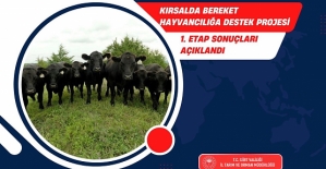 Siirt’te “Kırsalda Bereket Hayvancılığa Destek Projesi” 1. Etap Sonuçları Açıklandı