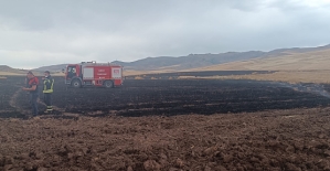 Siirt’te Buğday Tarlasında Korkutan Yangın: İtfaiye Zamanla Yarıştı