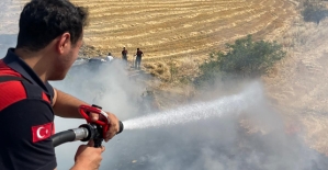 Siirt Organize Sanayi Bölgesi’nde Korkutan Yangın! 60 Dönümlük Alan Zarar Gördü
