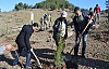 Kaymakam Mehmet Kocabey, Fidan Dikimi Etkinliğine Katıldı