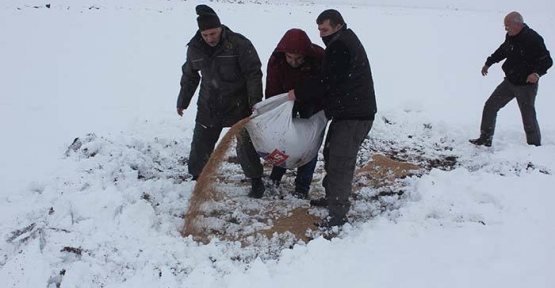 Yabani Hayvanlar İçin Doğaya Yem Bırakıldı