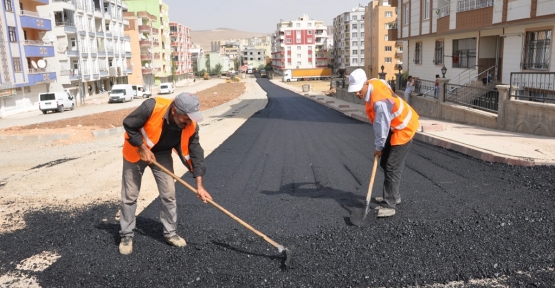 YOL VE ASFALT ÇALIŞMALARI BAŞLADI